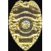 TORRANCE, CA POLICE DEPT BADGE PIN